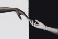 zwei Hände berühren sich